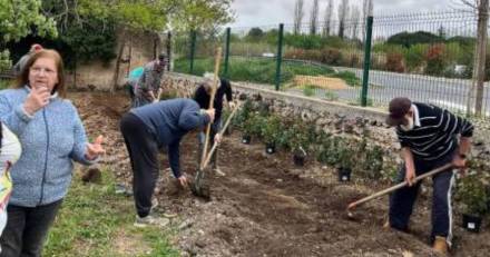 Bessan - Les jardins familiaux améliorent leur entrée et annoncent le temps des récoltes